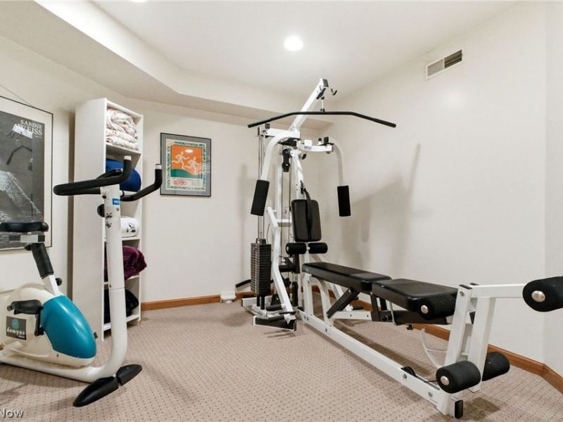 113 Champion Lane, Chagrin Falls, OH 44022 Photo 42