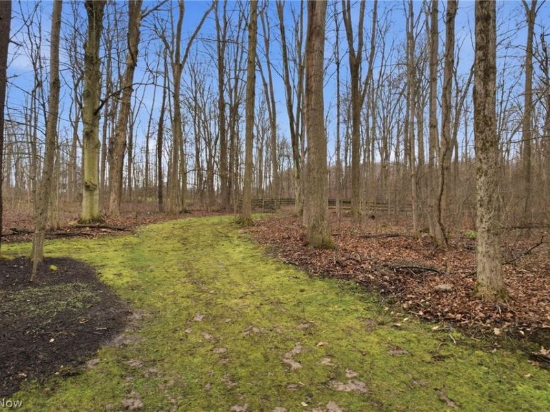 113 Champion Lane, Chagrin Falls, OH 44022 Photo 45