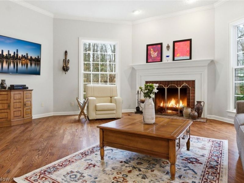 113 Champion Lane, Chagrin Falls, OH 44022 Photo 6