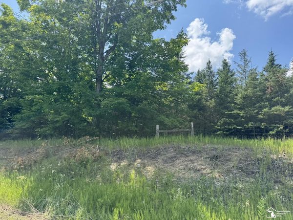 0000 Hayes Tower Road, Gaylord, MI 49735