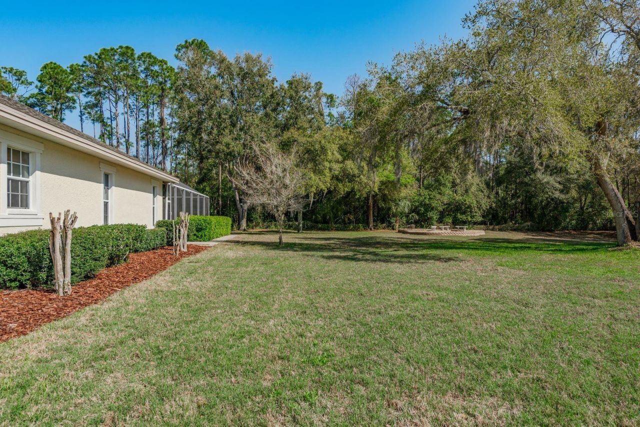 6207 Claire De Lune Court, New Port Richey, FL 34655 Photo