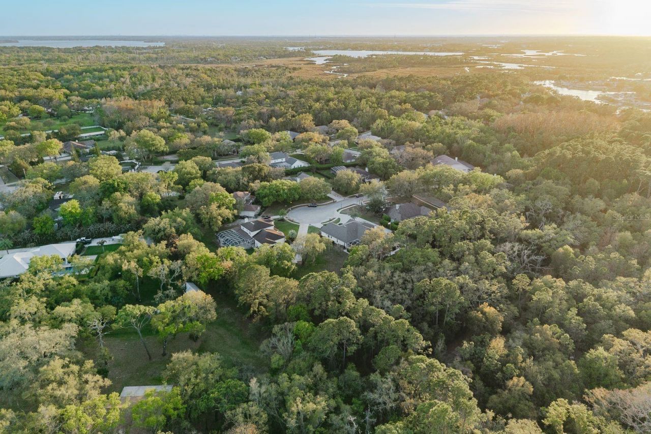 6207 Claire De Lune Court, New Port Richey, FL 34655 Photo