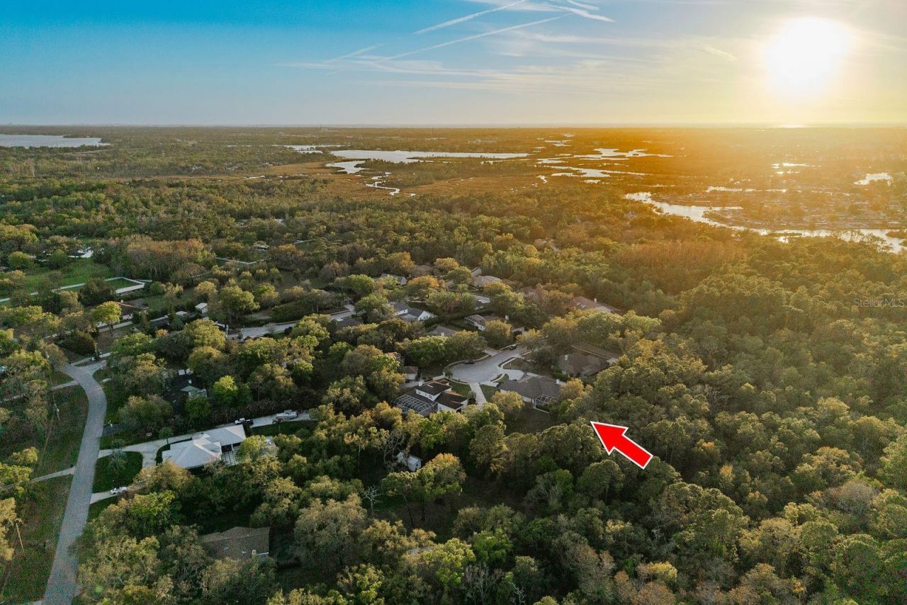 6207 Claire De Lune Court, New Port Richey, FL 34655 Photo