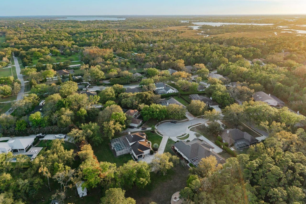 6207 Claire De Lune Court, New Port Richey, FL 34655 Photo