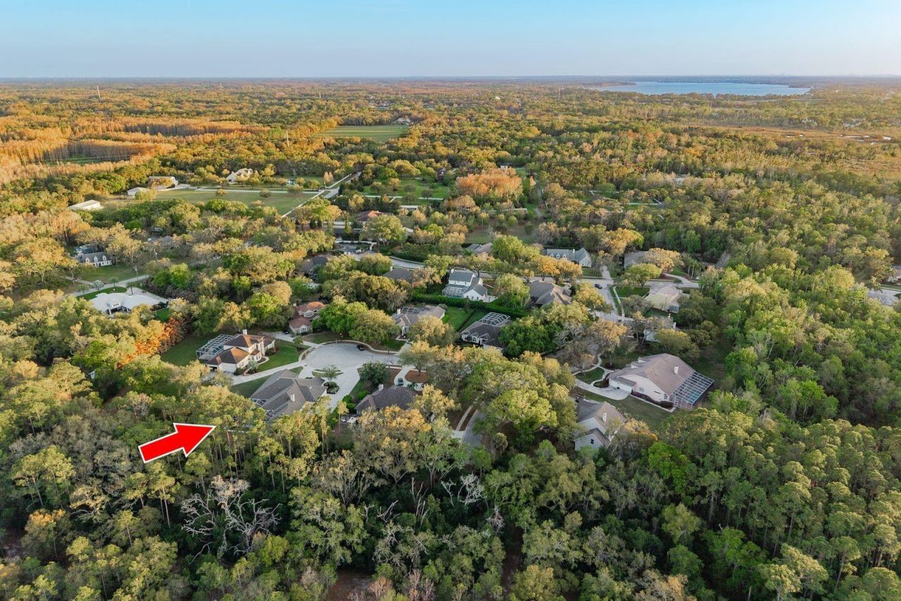 6207 Claire De Lune Court, New Port Richey, FL 34655 Photo