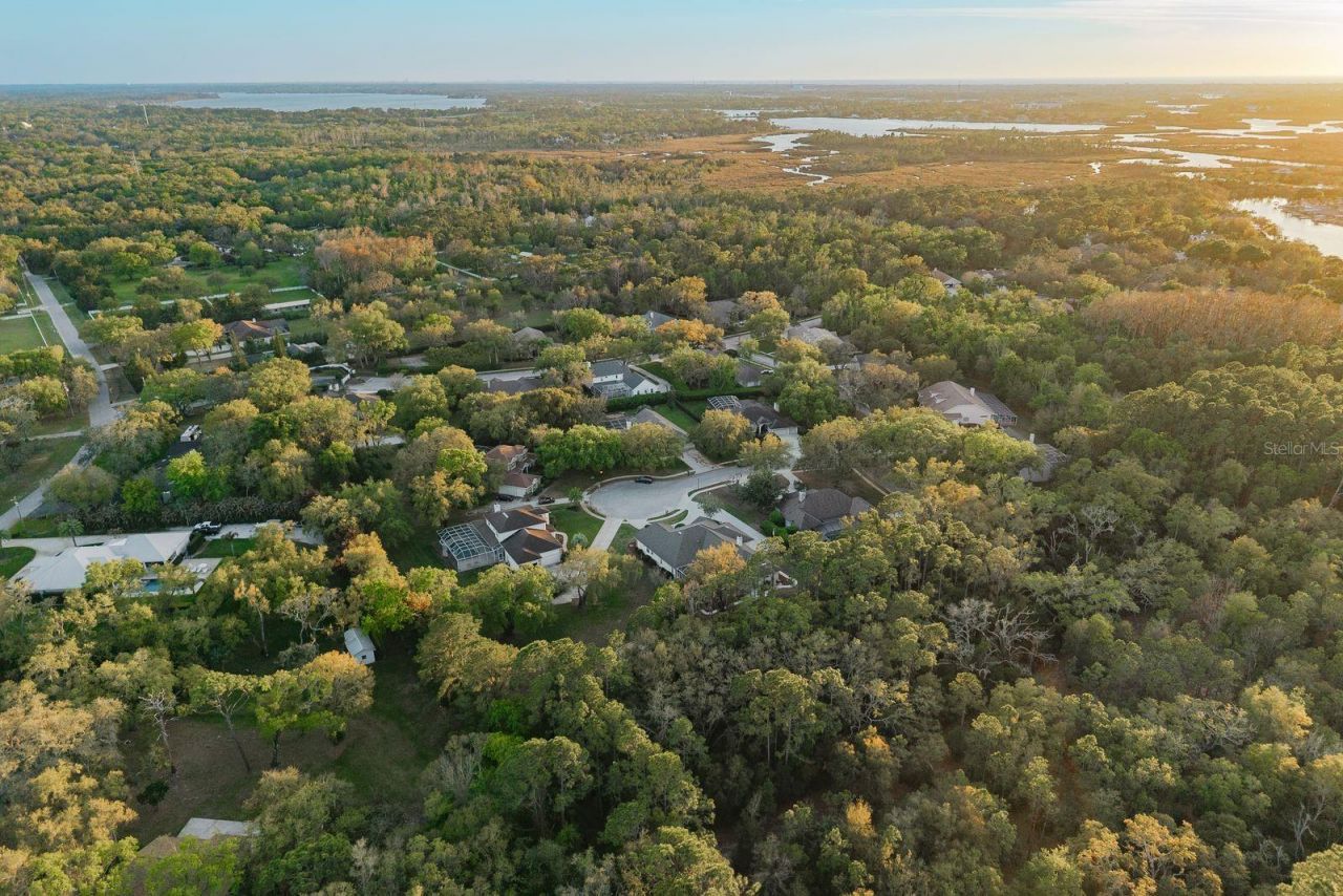 6207 Claire De Lune Court, New Port Richey, FL 34655 Photo