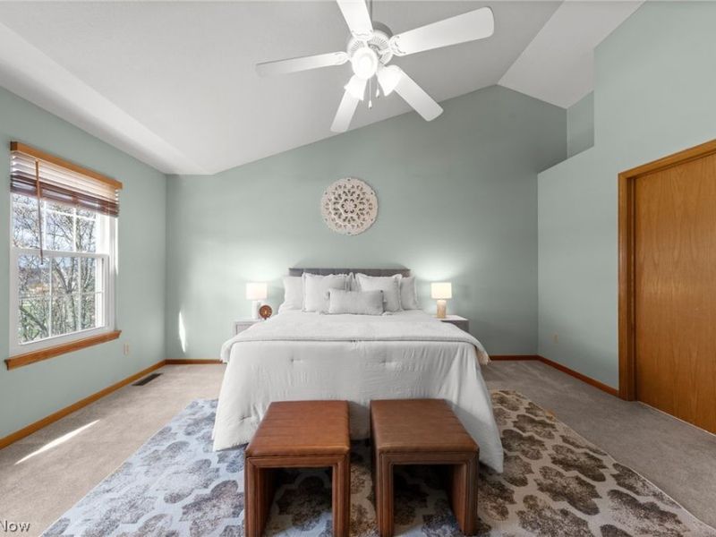 7347 Meadowhaven Drive, Chippewa Lake, OH 44215 Photo 19