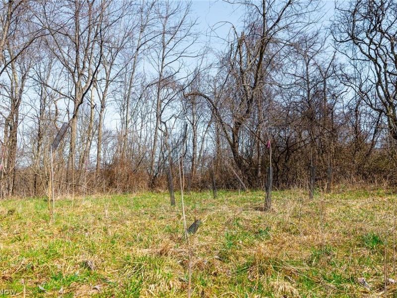 Sheepskin Ridge Road, Lower Salem, OH 45745 Photo 11