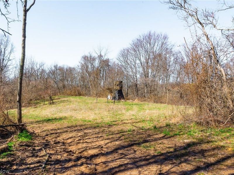 Sheepskin Ridge Road, Lower Salem, OH 45745 Photo 12