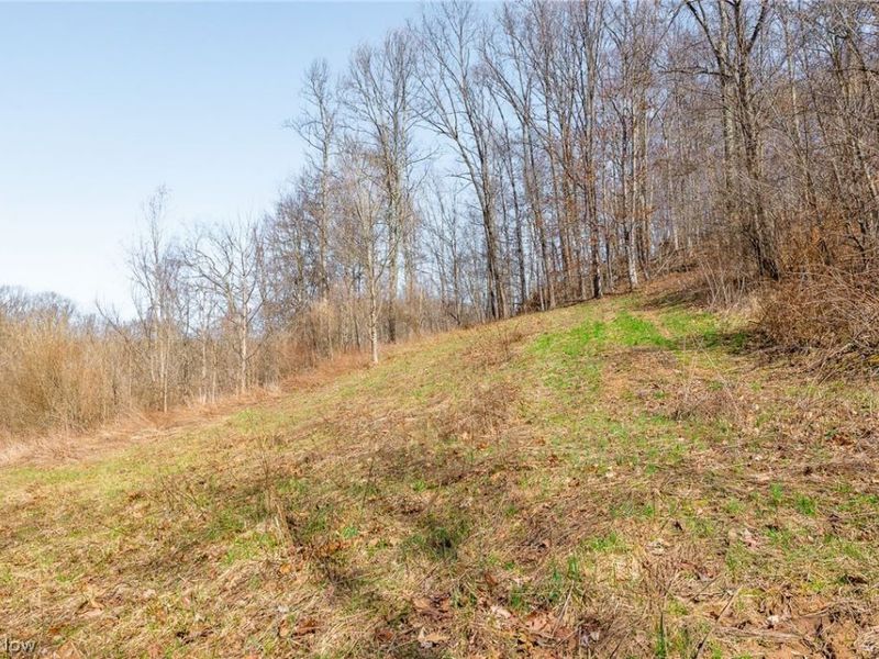 Sheepskin Ridge Road, Lower Salem, OH 45745 Photo 16