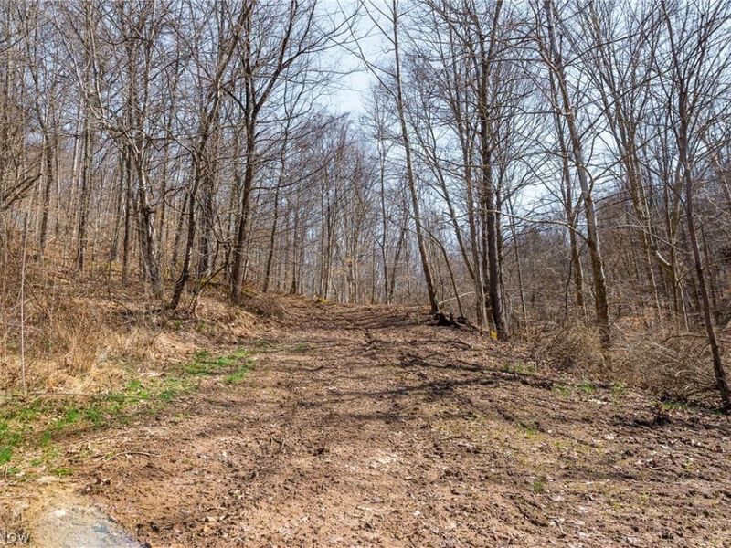 Sheepskin Ridge Road, Lower Salem, OH 45745 Photo 17