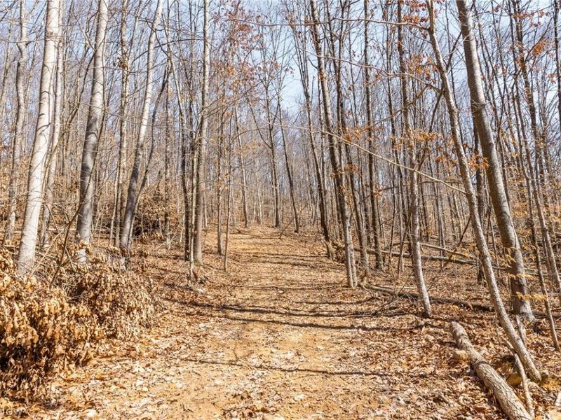 Sheepskin Ridge Road, Lower Salem, OH 45745 Photo 18