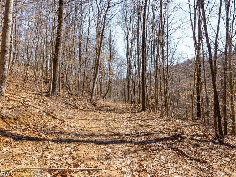 Sheepskin Ridge Road, Lower Salem, OH 45745 Photo 19