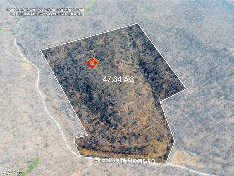 Sheepskin Ridge Road, Lower Salem, OH 45745 Photo 2