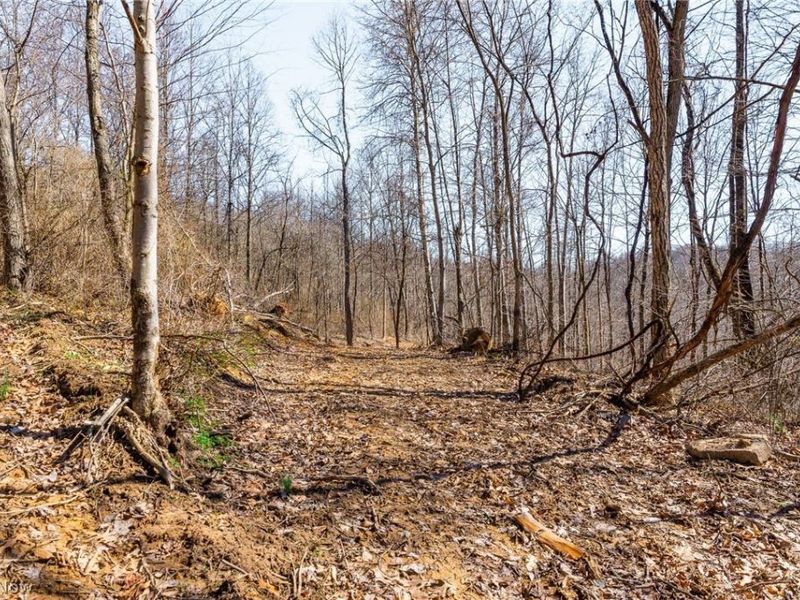 Sheepskin Ridge Road, Lower Salem, OH 45745 Photo 20