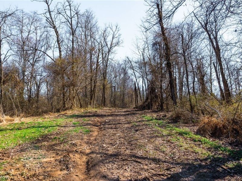Sheepskin Ridge Road, Lower Salem, OH 45745 Photo 21