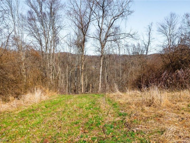 Sheepskin Ridge Road, Lower Salem, OH 45745 Photo 23