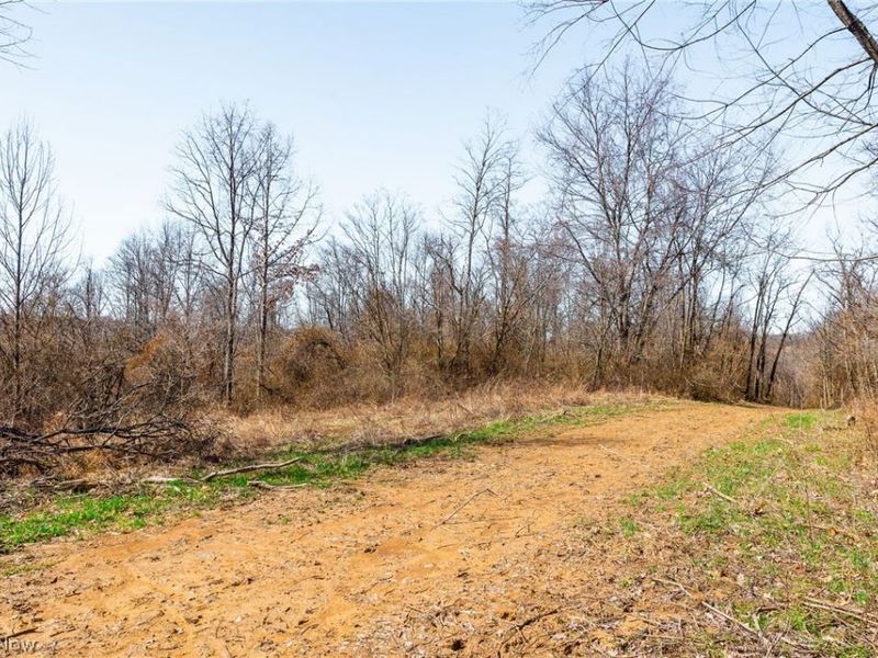 Sheepskin Ridge Road, Lower Salem, OH 45745 Photo 25