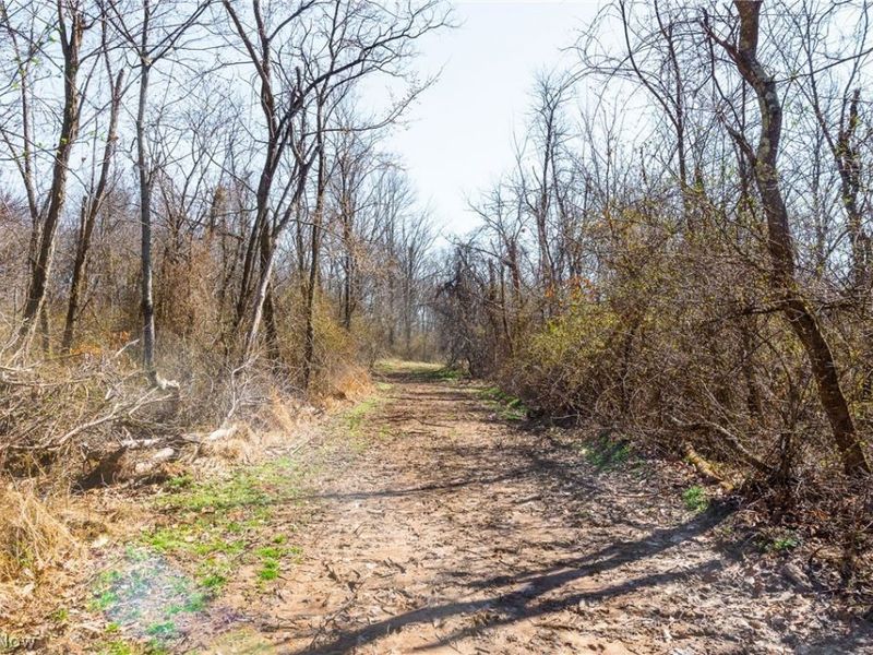 Sheepskin Ridge Road, Lower Salem, OH 45745 Photo 26