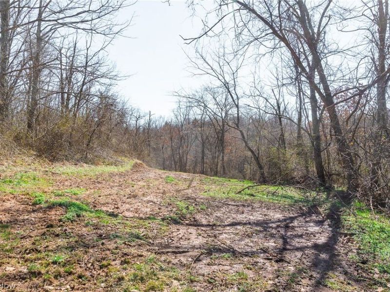 Sheepskin Ridge Road, Lower Salem, OH 45745 Photo 27