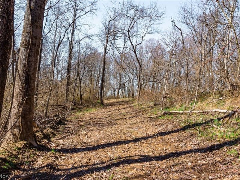 Sheepskin Ridge Road, Lower Salem, OH 45745 Photo 28