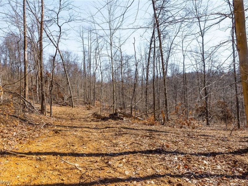 Sheepskin Ridge Road, Lower Salem, OH 45745 Photo 29