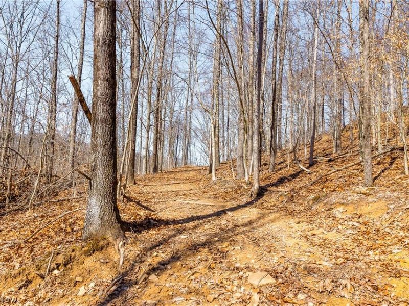 Sheepskin Ridge Road, Lower Salem, OH 45745 Photo 30