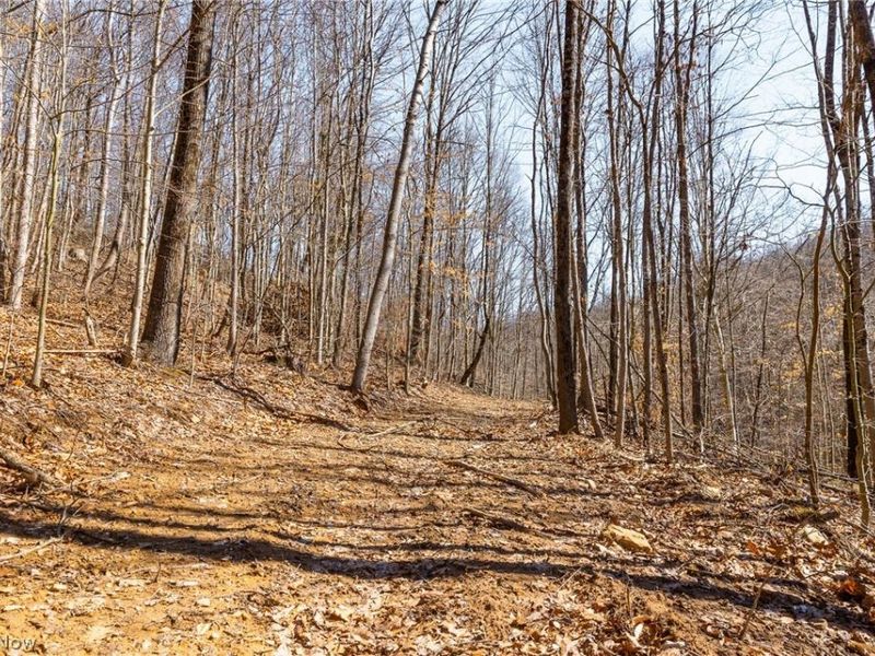 Sheepskin Ridge Road, Lower Salem, OH 45745 Photo 31