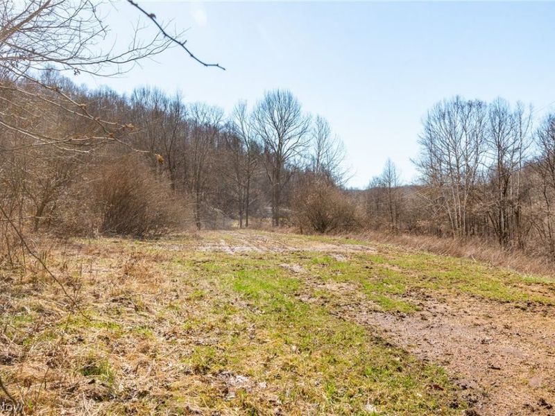 Sheepskin Ridge Road, Lower Salem, OH 45745 Photo 4