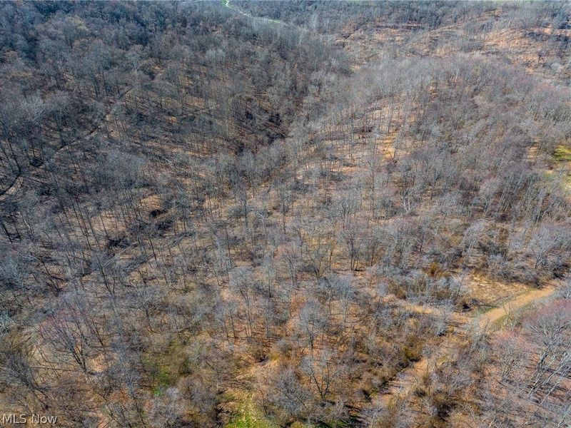 Sheepskin Ridge Road, Lower Salem, OH 45745 Photo 43