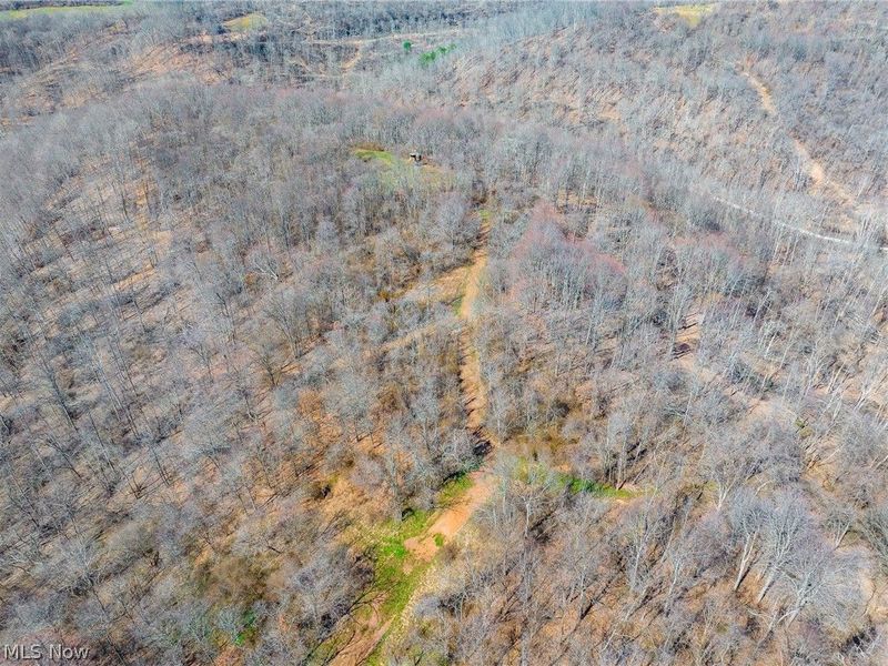 Sheepskin Ridge Road, Lower Salem, OH 45745 Photo 44