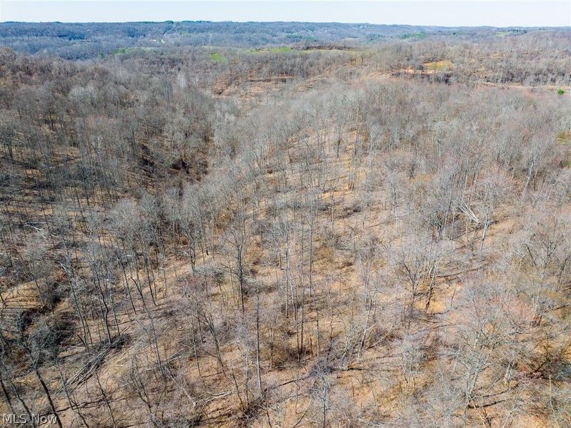 Sheepskin Ridge Road, Lower Salem, OH 45745 Photo 45