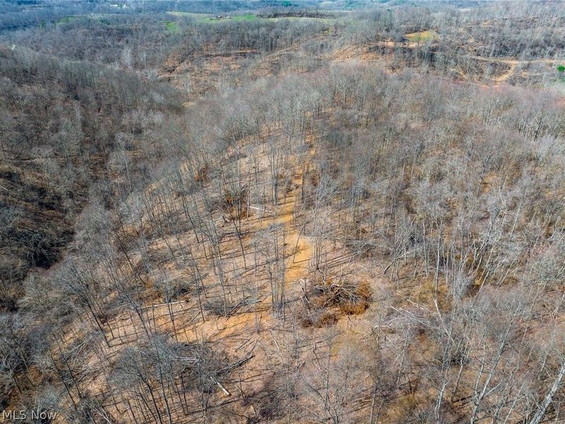 Sheepskin Ridge Road, Lower Salem, OH 45745 Photo 46