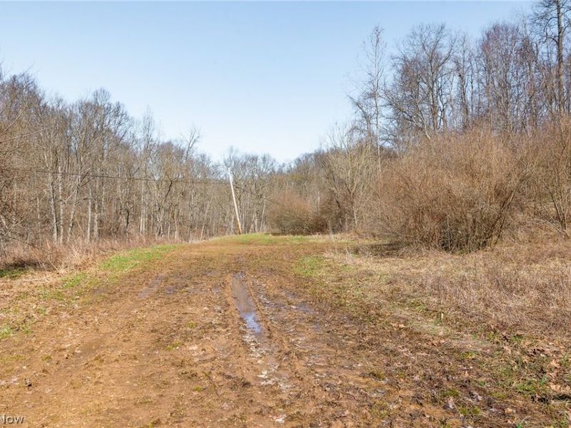 Sheepskin Ridge Road, Lower Salem, OH 45745 Photo 5