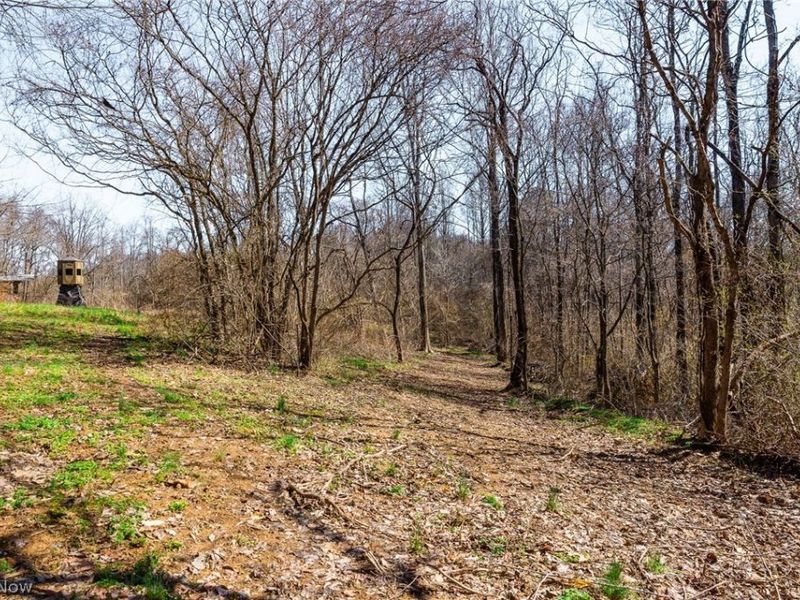 Sheepskin Ridge Road, Lower Salem, OH 45745 Photo 6