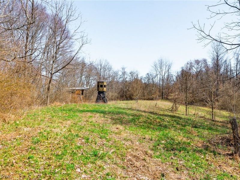 Sheepskin Ridge Road, Lower Salem, OH 45745 Photo 7