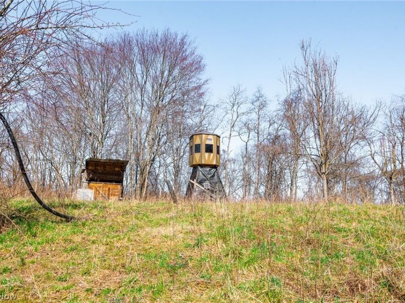 Sheepskin Ridge Road, Lower Salem, OH 45745 Photo 8