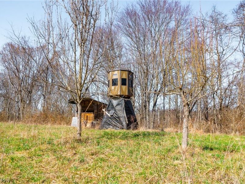 Sheepskin Ridge Road, Lower Salem, OH 45745 Photo 9