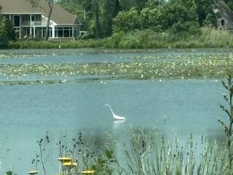 4881 E Wood Duck Ct, Port Clinton, OH 43452 Photo 40