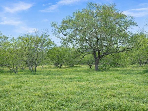 6 CR 171, Nixon, TX 78140