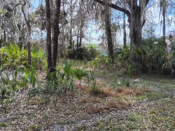 22371 NE COUNTY RD 200B, Lawtey, FL 32058