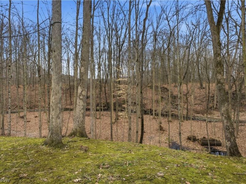 3550 New Hudson Road, Orwell, OH 44076 Photo 7