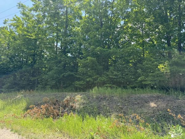 000 Hayes Tower Road, Gaylord, MI 49735