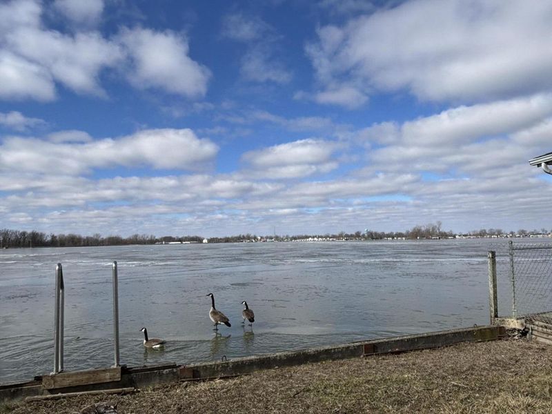 7419 Mingo Way, Russells Point, OH 43348 Photo 29