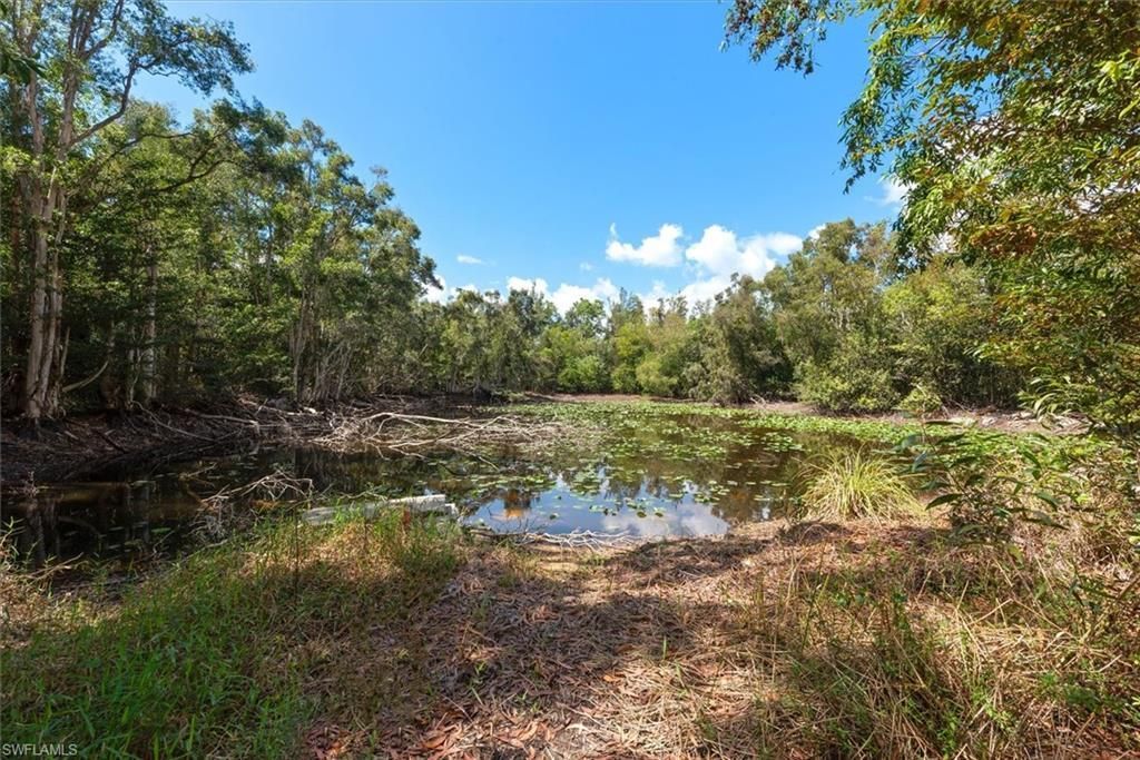 15710 Shamrock Dr, Fort Myers, FL 33912 Photo