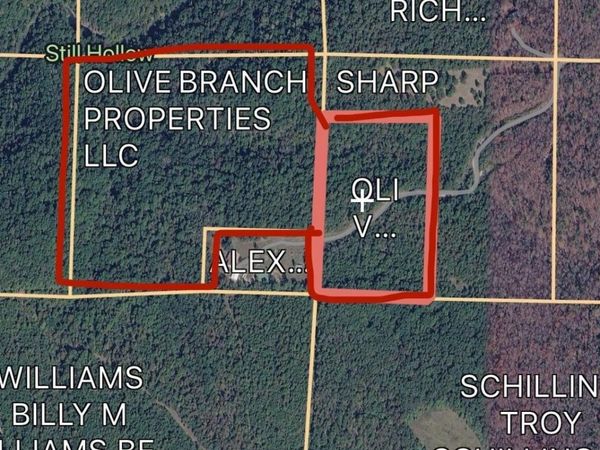 839 Bullard Rd., Concord, AR 72523