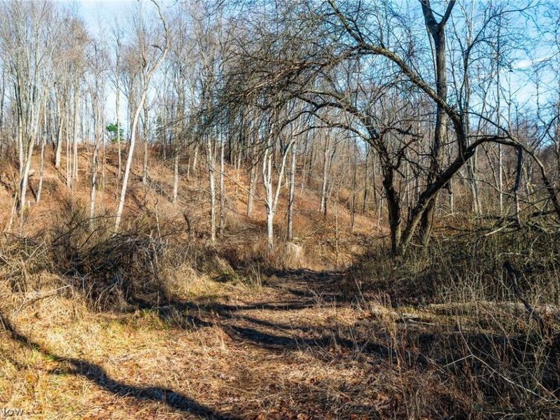 2535 Millersburg Road , Wooster, OH 44691 Photo 13