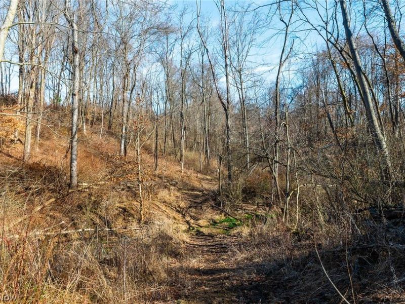 2535 Millersburg Road , Wooster, OH 44691 Photo 14