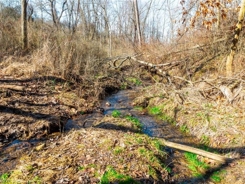 2535 Millersburg Road , Wooster, OH 44691 Photo 15