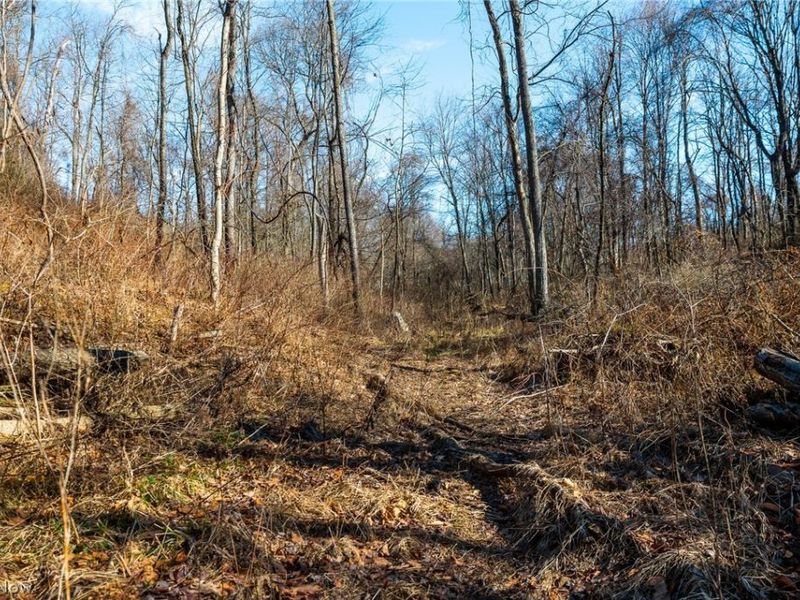 2535 Millersburg Road , Wooster, OH 44691 Photo 16